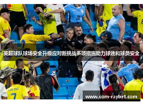 英超球队球场安全升级应对新挑战多项措施助力球迷和球员安全 英超球队球场安全升级应对新挑战多项措施助力球迷和球员安全