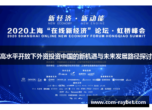 高水平开放下外资投资中国的新机遇与未来发展路径探讨