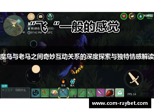 魔鸟与老马之间奇妙互动关系的深度探索与独特情感解读 魔鸟与老马之间奇妙互动关系的深度探索与独特情感解读