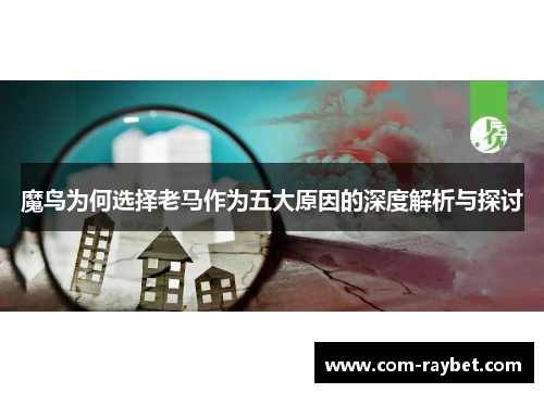 魔鸟为何选择老马作为五大原因的深度解析与探讨 魔鸟为何选择老马作为五大原因的深度解析与探讨