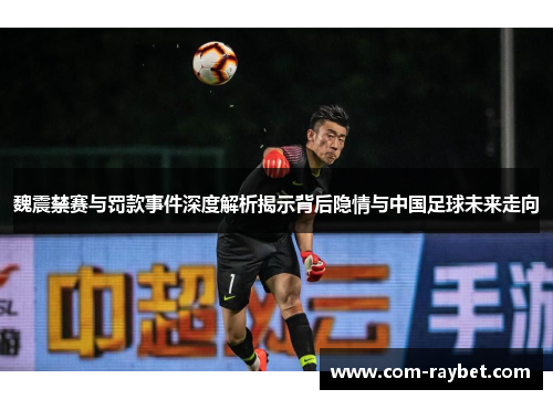 魏震禁赛与罚款事件深度解析揭示背后隐情与中国足球未来走向