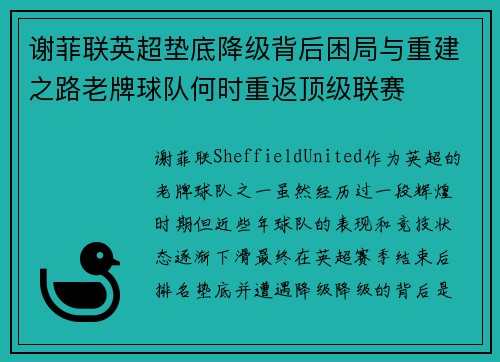 谢菲联英超垫底降级背后困局与重建之路老牌球队何时重返顶级联赛 谢菲联英超垫底降级背后困局与重建之路老牌球队何时重返顶级联赛